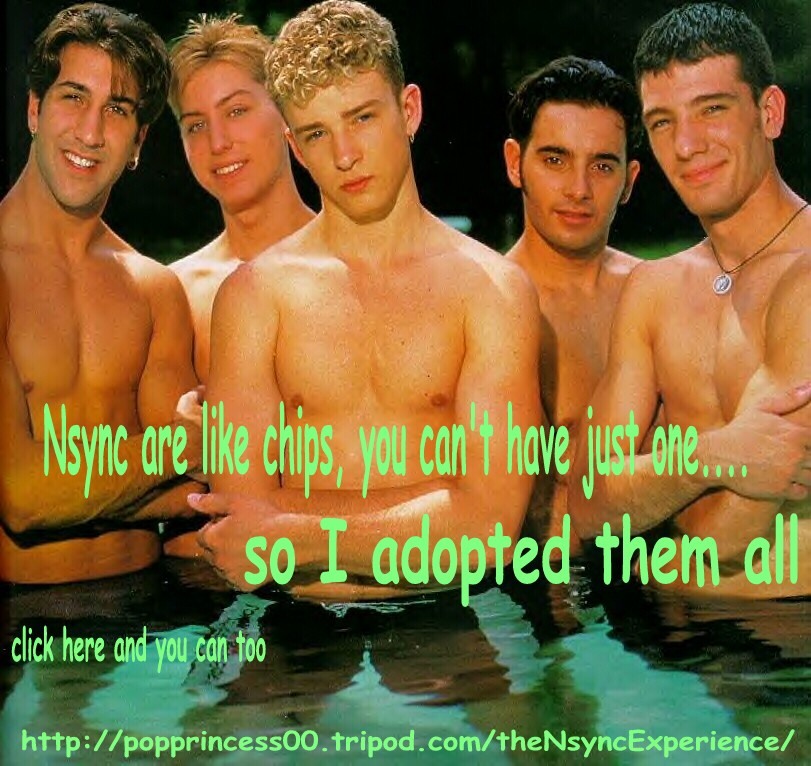 experienceadoptionchipsbnnr.jpg